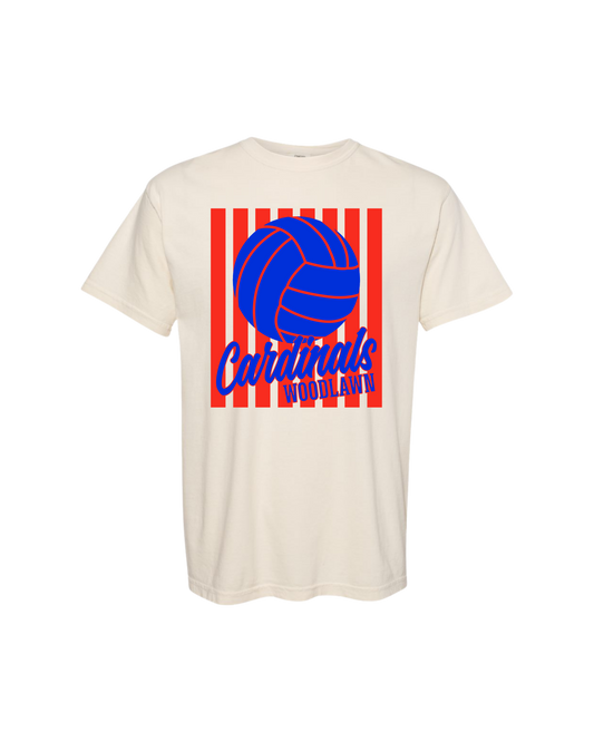 WHS VBall Stripes
